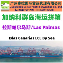 提供中国到加纳利群岛海运拼箱 Las Palmas拉斯帕尔马斯海运拼箱