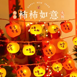 室内LED;LED装饰灯;室外LED