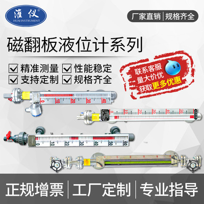 工厂定制专业磁翻板液位计顶装侧装高温pp/pvc液位计衬四氟液位计