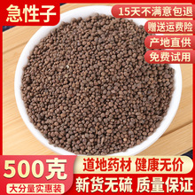 500˰] Pɻ ָ׻  ָ׻؛؛