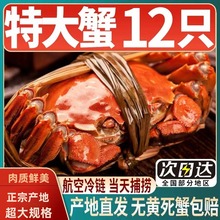 ��з�ش�12ֻ���lз�r���зȫĸ��з��з��з���rˮ�a�Y���b