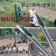 ���������U�F�z�W�F����\䓹ܿ��ĈA���������Ѽ�֧�ΗU�ؘ��ܼ�