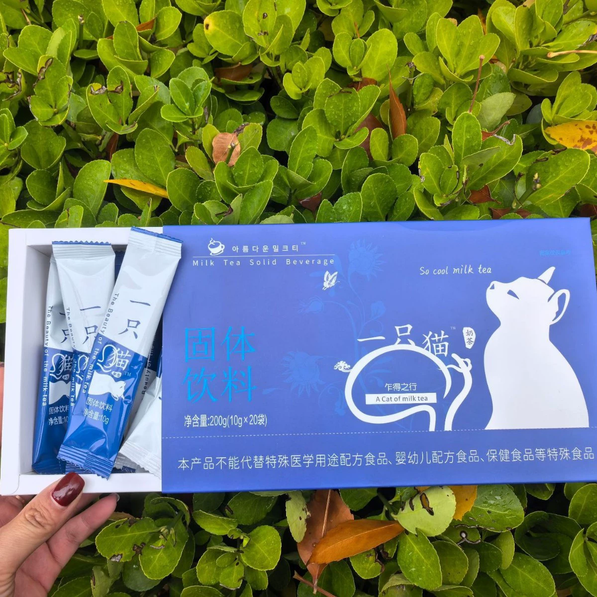 Spot А кошка WeChat бизнес Xiaohongshu та же подлинная кофейня Обновленная улучшенная версия Полноразмерная насадка Производитель первой версии