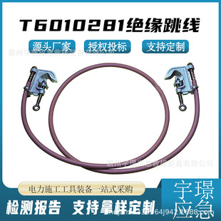 T6010281�^���������|�ýӵ������������U�������A�^