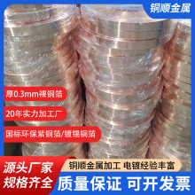 惠州裸铜带源头厂家 无氧紫铜箔价格行情 T1 软态红铜带质量保障