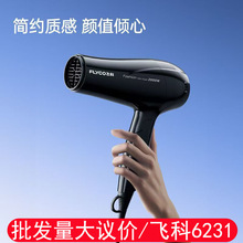 飞科吹风机家用可折叠大风力大功率2000W护发酒店发廊电吹风6231