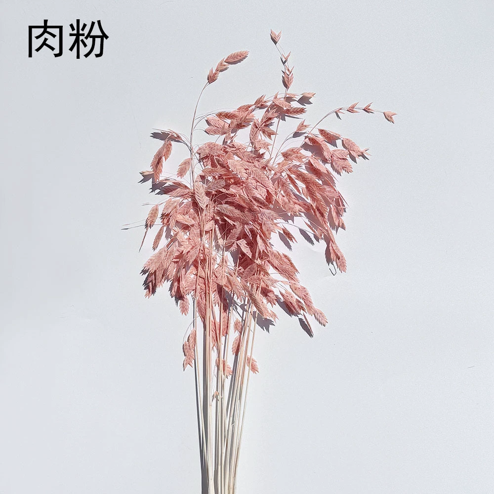 Сохранённые вечные цветочные стебли Xiao Pianwang Cao, цветочная сушёная букетная композиция, 10 шт, 30–60 см