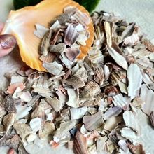 贝壳碎厂家供应禽兽饲料用贝壳砂贝壳粉微景观装饰水族鱼缸造景砂