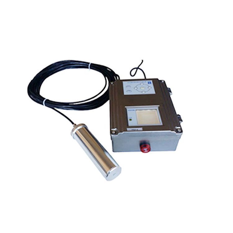 RL5000型固定式辐射监测报警仪 RL5100在线式x-γ辐射监测报警仪