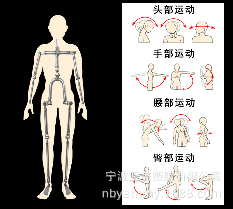 关节可动.jpg