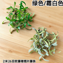 �����ϙ���ٗl������쾰�羳�Gֲ�b����l