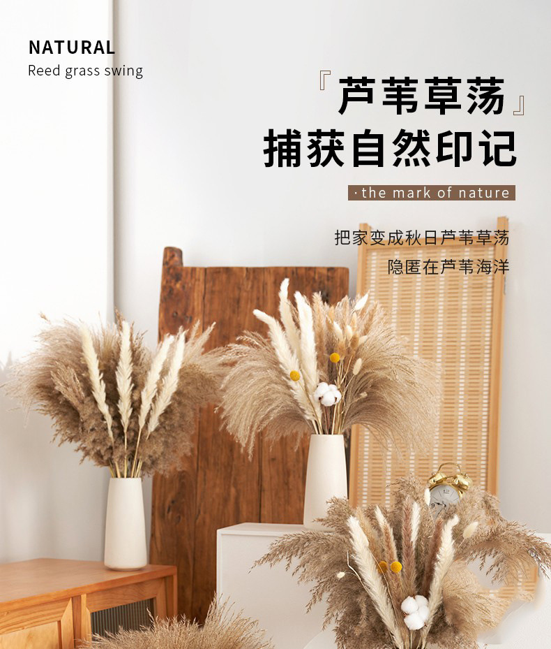 43b1543a-b2b7-4152-9c9b-bd8cba80e980.jpe