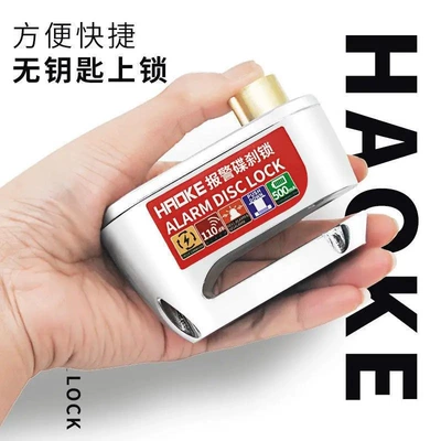 motorcycle alarm lock outdoor riding – Motorcycle Lock