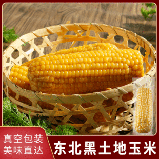 �|���SŴ����Ŵ��ճ��S���װ���հ��b�ּZ����10֧���װ��]���l