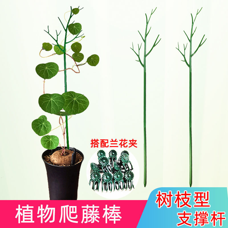 植物支架攀爬架陽台家庭園藝支架花支撐杆插花棒裝飾支撐樹爬藤杆