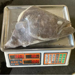 ��������S���]���������~�^ ��Ŀ�~�~�^ �Ƶ���������