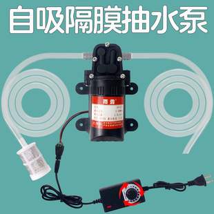 12V��ˮ�����������������΢�̓�ˮ�����ˮ�C����ֱ��������