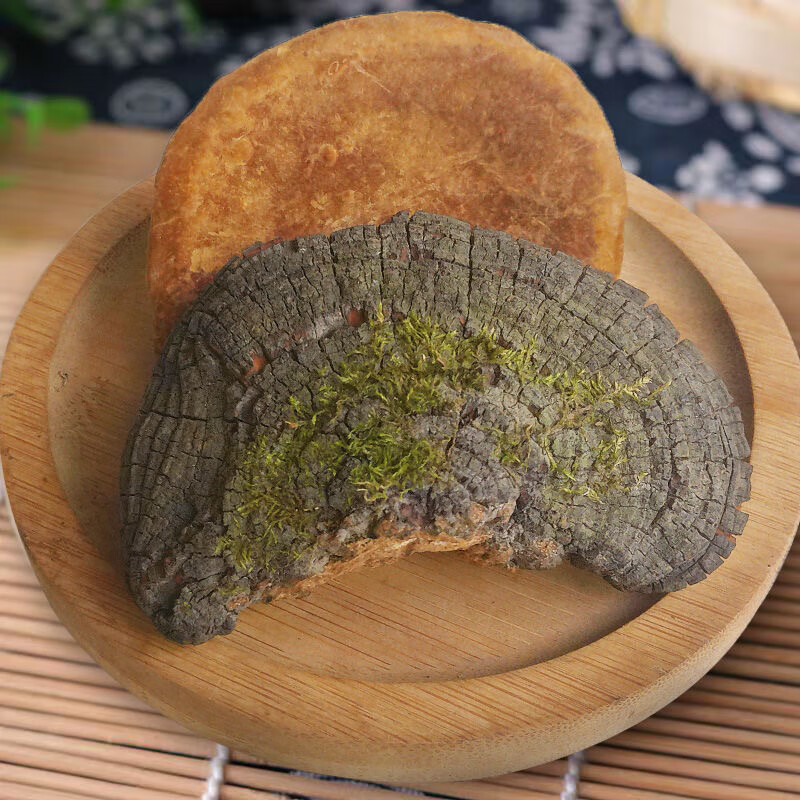 Sanghuang Mushroom 500g Dried Phellinus from Mulberry Tree Traditional Herbal Tea and Decoction Herb in use
