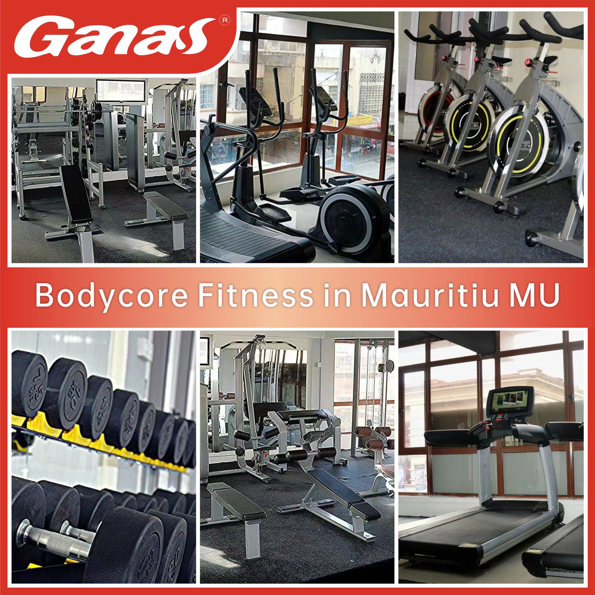 Fábrica de suministro de gimnasio alto y bajo tracción de entrenador de fuerza pull-down alto entrenador de fuerza push-down equipo de fitness