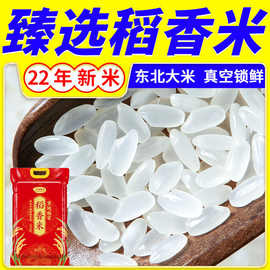 东北大米臻选稻香米22新米米饭长粒香真空黑龙江批发10斤一级粳米