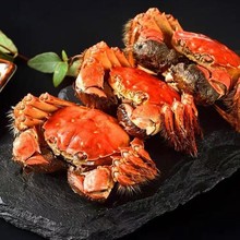 �r���ɺ����lзҰ����зĸз��з�ش���lз���r�������l����