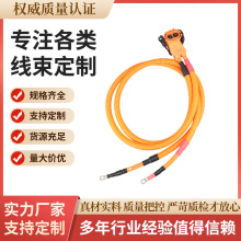 新能源线束/高压线束/高压连接线/线束定制/汽车线束生产加工