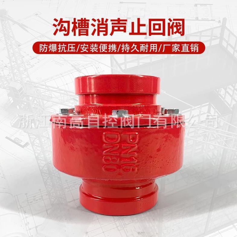 南高供应 卡箍式消声止回阀 沟槽式逆止阀 HC81X-25Q