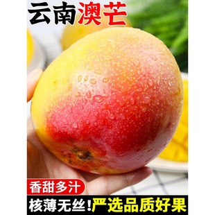 ��ϰ�â������râ���������Fժ����â�O��â�ʺ�â�Ꭷˮ�����]