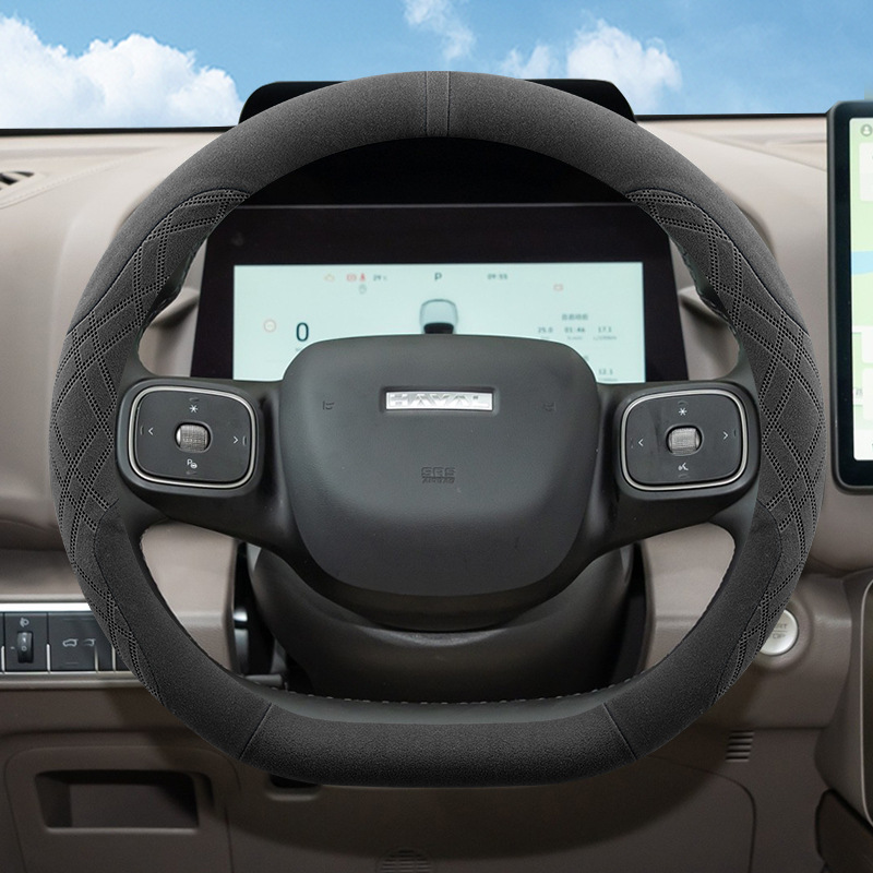 Steering wheel cover and Winter
