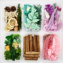 ���b�ɻ�DIY���ϰ����İ�ֲ��ɹ��M��������ֹ��F�� ��޹Ϟ�T