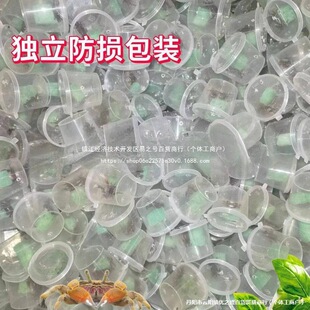 �^�pззС�ззз�������㌙��������������з���l��ˮз��