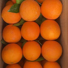 重庆市奉节脐橙72-1果园一件代发20斤装 当季水果橙子非赣南脐橙