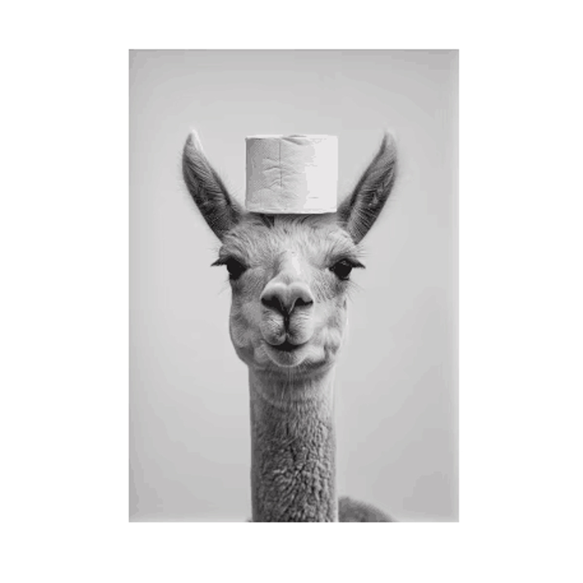 Negro y blanco adorables animales con papel higiénico póster búho perro lienzo pintura de pared arte baño sala de estar decoración del hogar