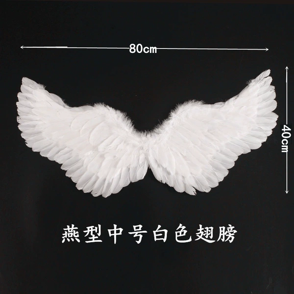 [燕型中号白色翅膀]