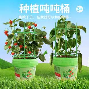 ��ͯ���b�NֲС�������Մ���YƷС�W��ä�а��ֶY�׃��@��Ʒ�Gֲ