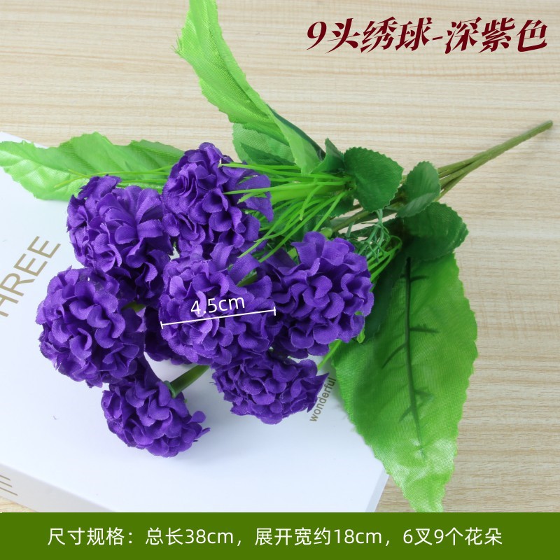 Dark blue Hydrangea Deep Purple