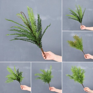 ���沨˹ާ���T�������ާ�~ֲ���~��ާ�~�ݲ����҃ȾGֲ���쾰