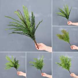 仿真波斯蕨天门冬文竹草蕨叶植物叶子蕨叶草波草室内绿植墙造景