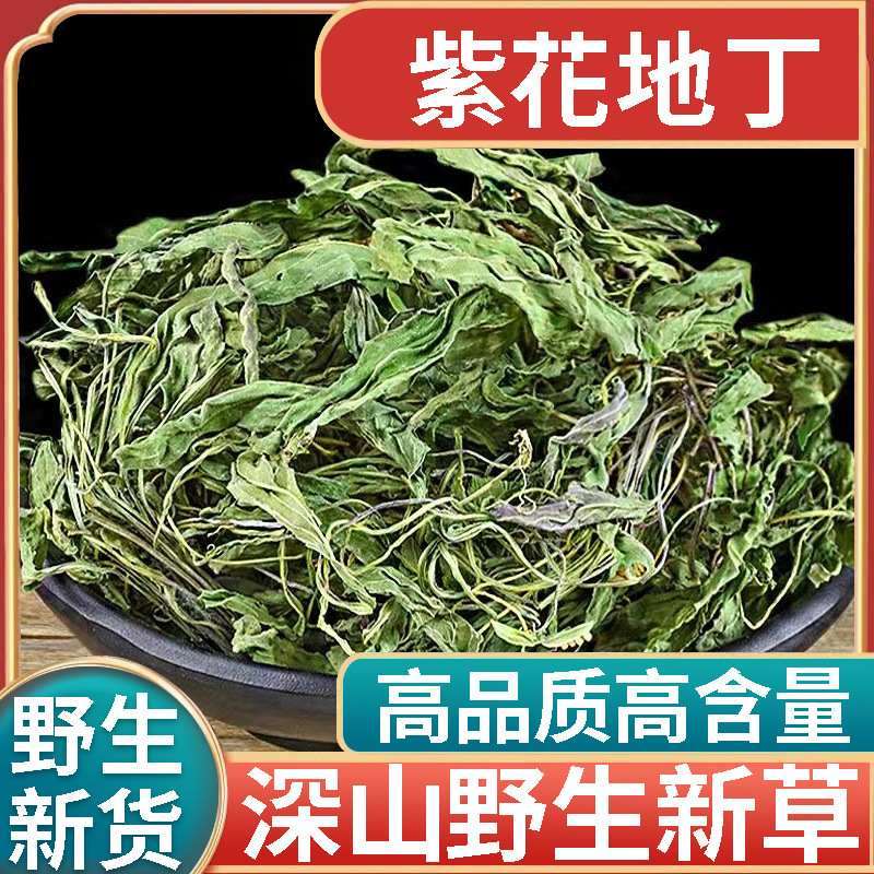 正品野生紫花地丁新货中药材500g正宗犁头草地丁草地丁苦地丁泡水