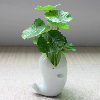 茶宠摆件创意陶瓷精品小花器可养家居小清新水培花瓶禅意道艺装饰