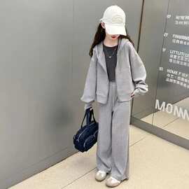 女童休闲运动套装新款洋气小女孩春秋装连帽外套长裤洋气两件套
