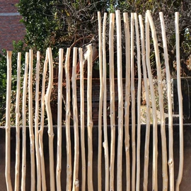 木质工艺品;木质型材;其他木质材料