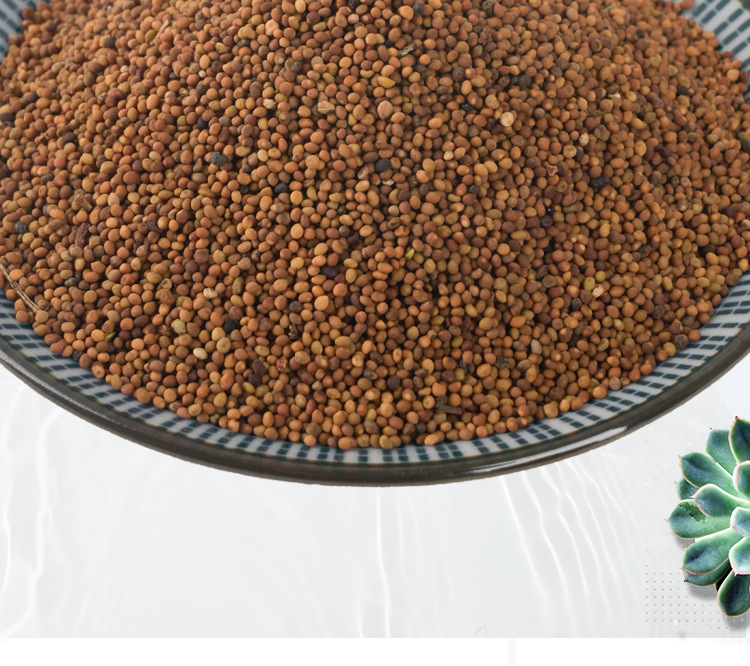 Tu Si Zi (Cuscuta chinensis) — Dried Dodder Seed, Washed & Sulfur-Free, 500g key features
