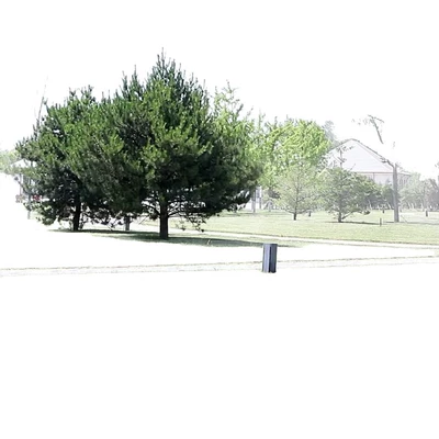 Avtomobil yan çətirləri, butterfly-shaped canopy