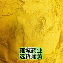 雍城药业蒲黄大货批发生蒲黄熟蒲黄正品中药材蒲黄量大从优新货批