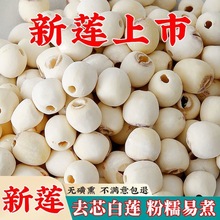 ɏ ɏӸ؛ oɏrĥƤɏҰȥоɏl