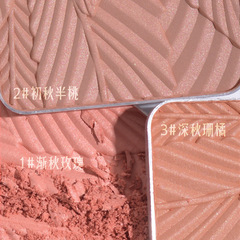 Original painter brand domestic blush female nude makeup natural matte whitening highlight milk peach powder milk apricot honey orange red