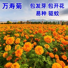 f۾շNӾջļ׻ɫܽػNԷNѻ