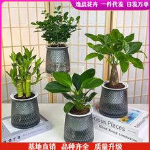 �k���ҾGֲ����С����ˮ��͏d�҃��_�����B�lؔ��G�}�k��������