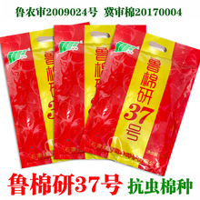 ޻NӷNѿx޻ʸ߮a⏶Ҵ󴺼N